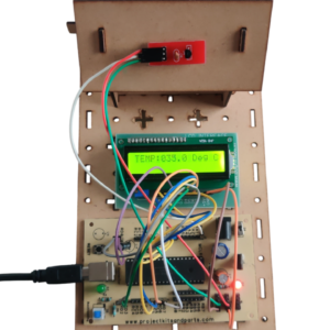 Digital Temperature Display