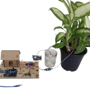 Automatic Watering System